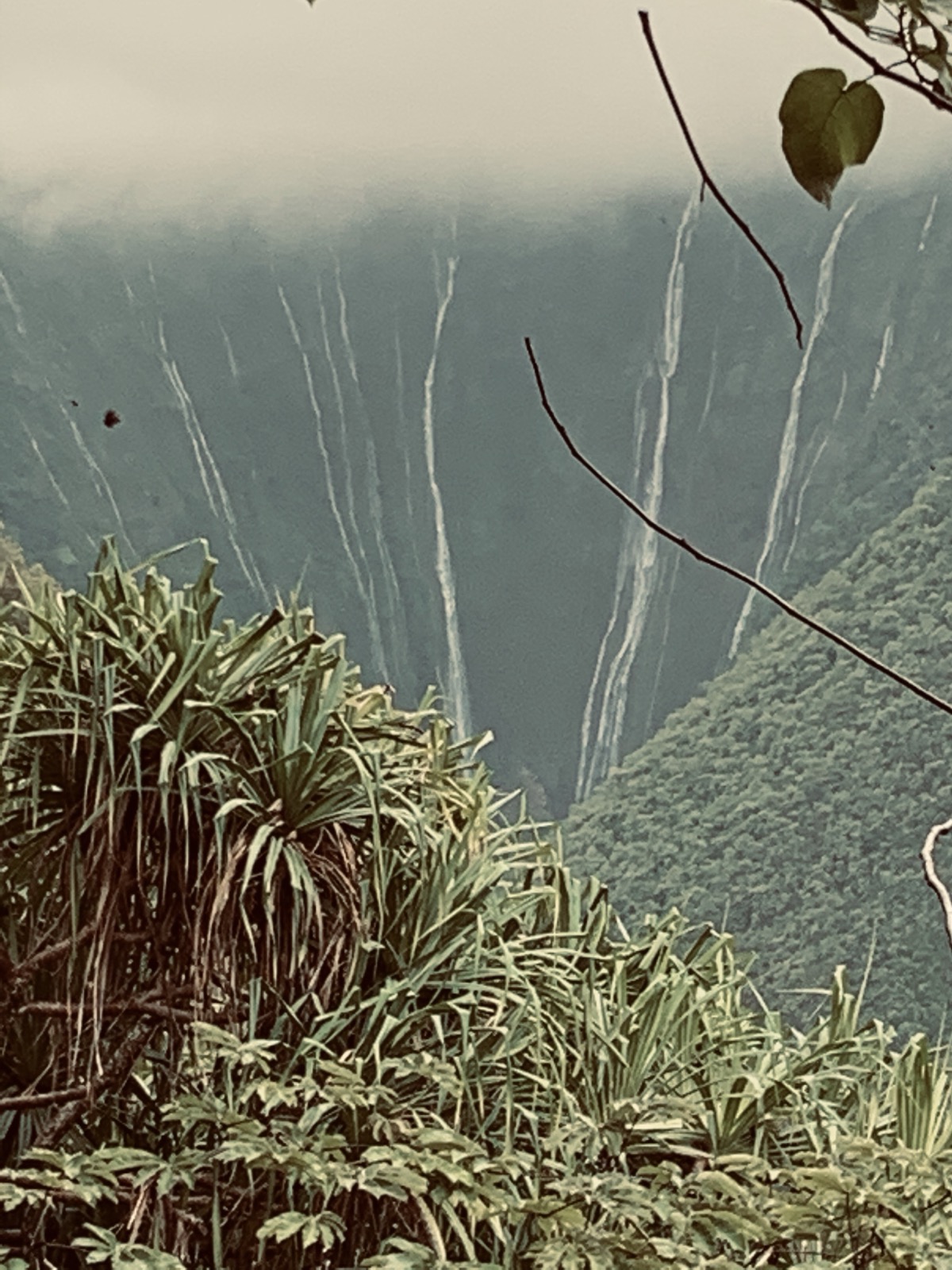 Thin waterfalls on misty cliffs in soft fog