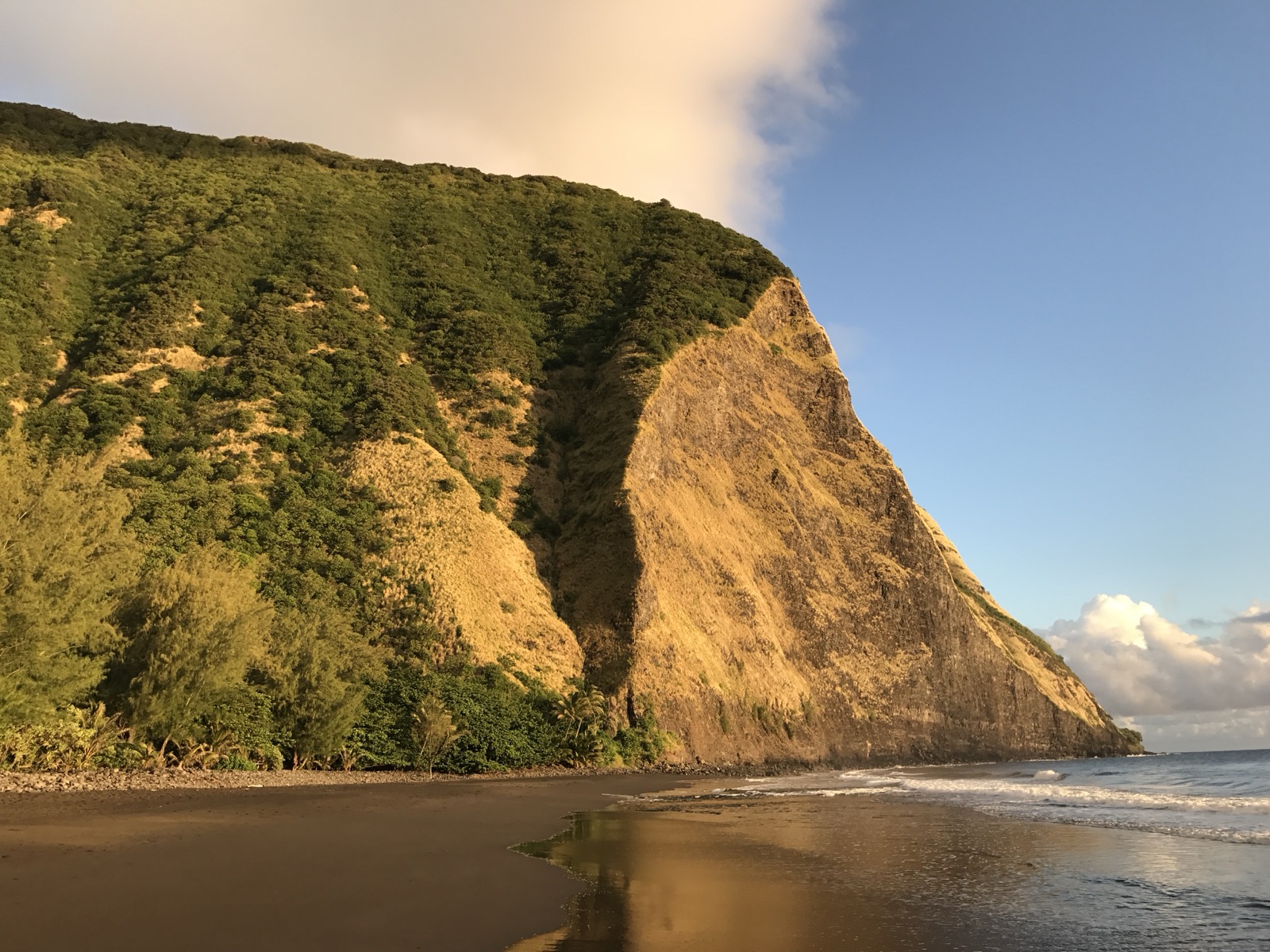 A sea-cliff headland lit by golden evening light