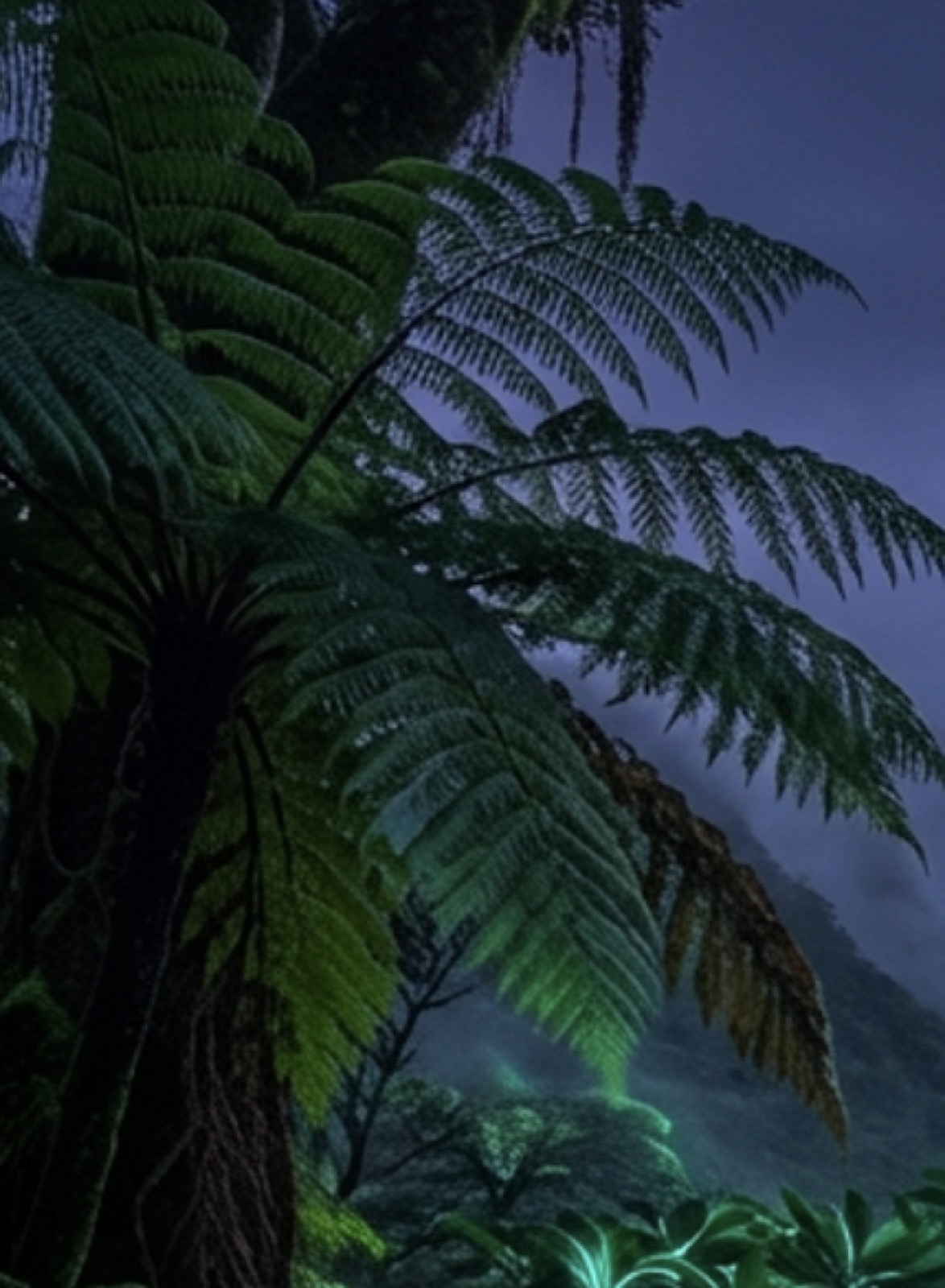 A tree fern glowing under a deep blue night sky