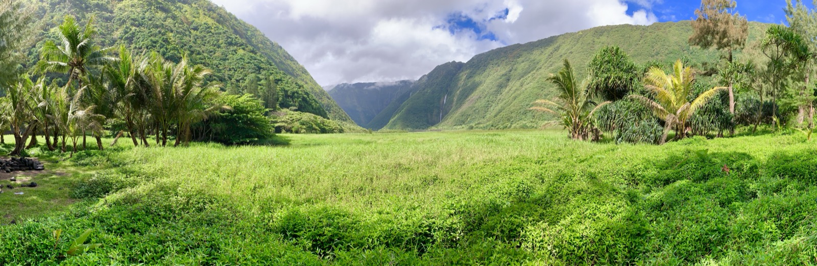 Panorama of the Waimanu Valley floor and surrounding cliffs
