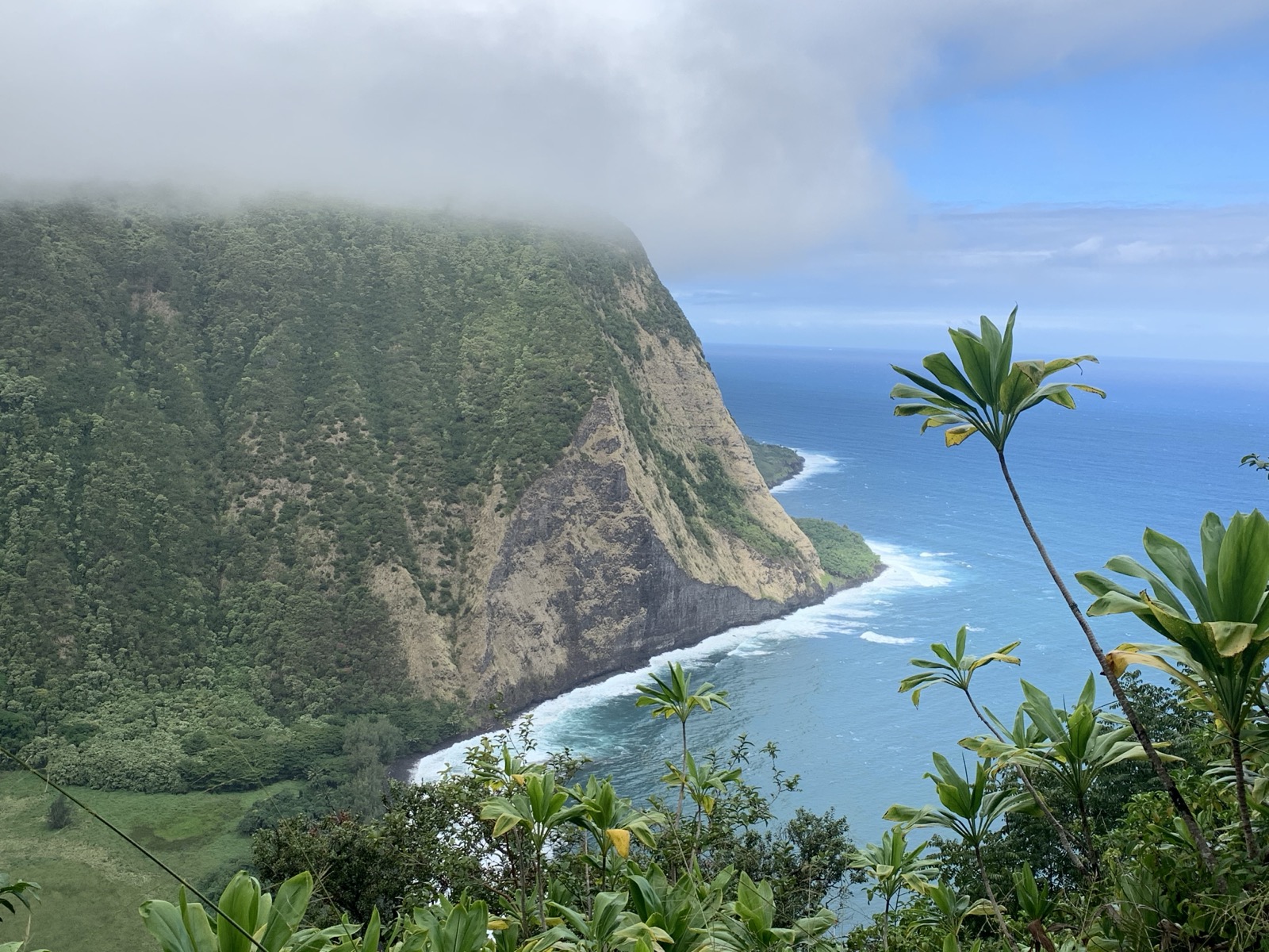 The Waimanu coastline seen from a high lookout