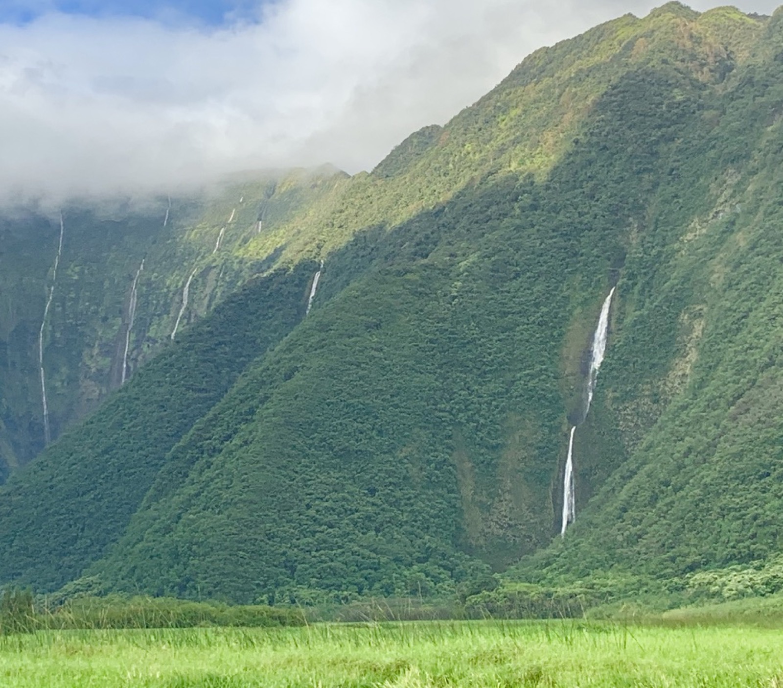 Ribbon waterfalls on cloud-wrapped valley cliffs