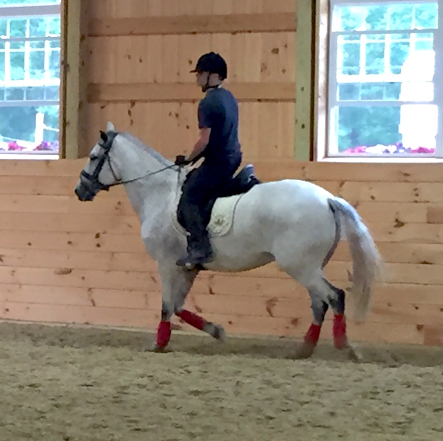 A rider on horseback in an indoor arena