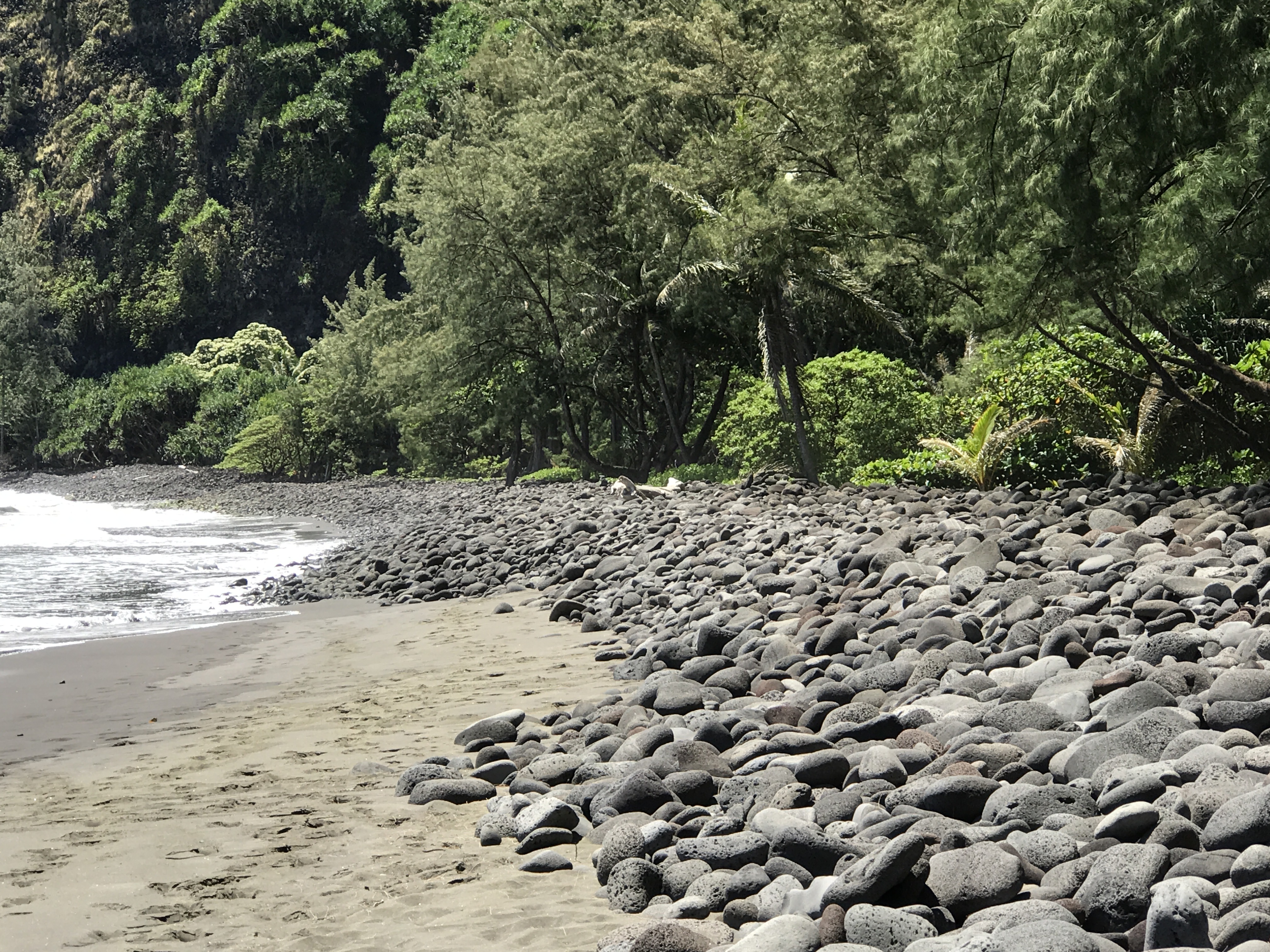 A black boulder beach backed by forest