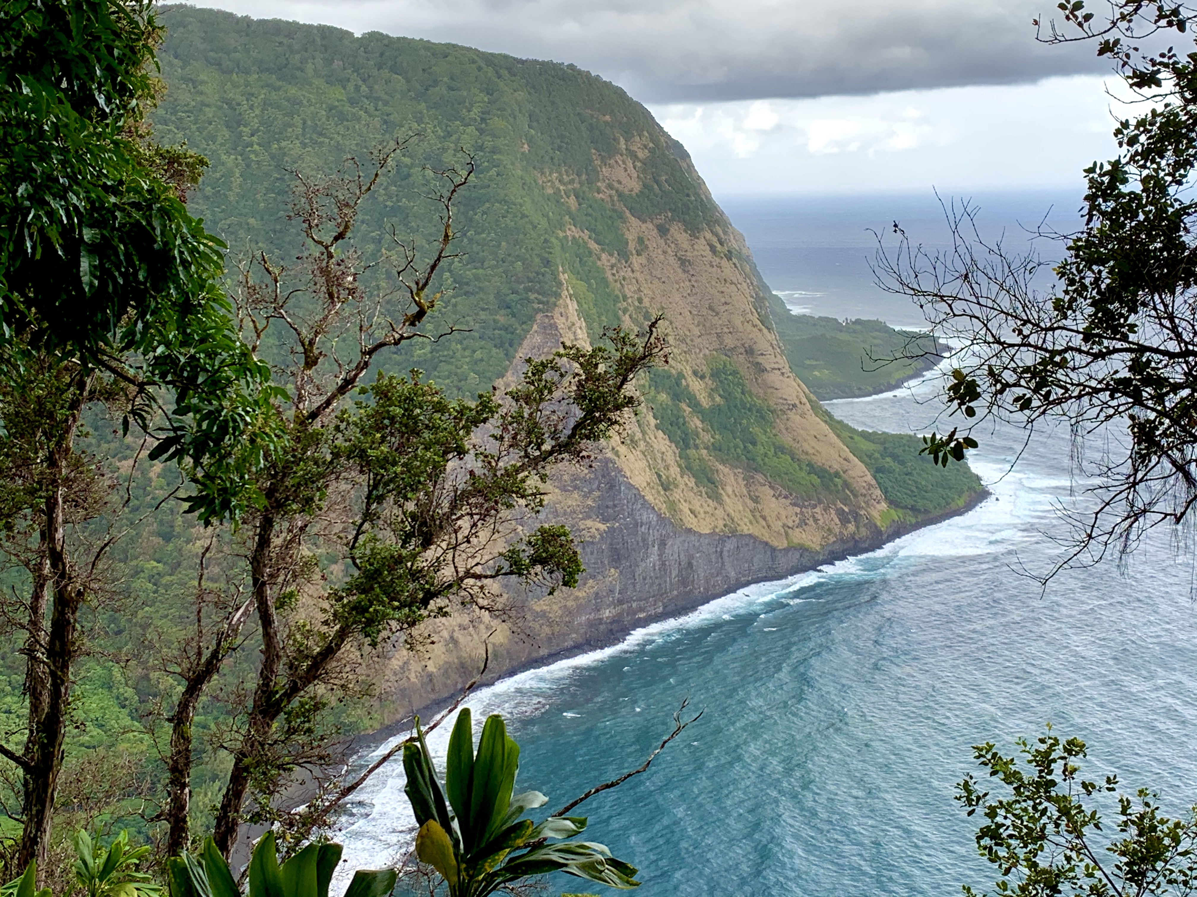 Waimanu coastline seen from a high overlook